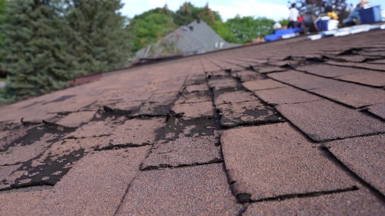Best Roof Inspection  in Mercersburg, PA